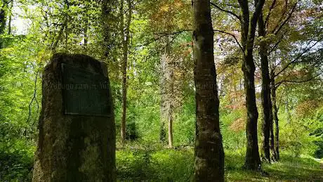 Commemorate stone and tree avenue for 100 years of forestry