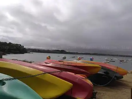 Sardin Paddle