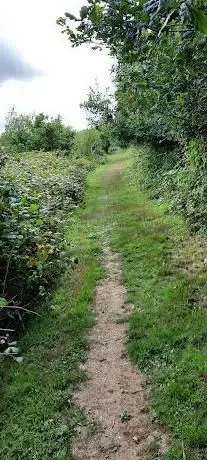 Photo de Watkins Wood