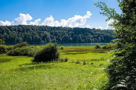 Photo de Naturschutzgebiet Mindelsee