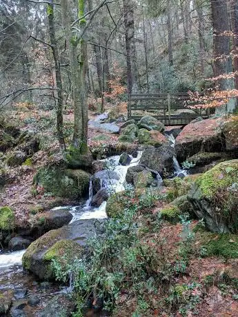 Photo de Bramley Park