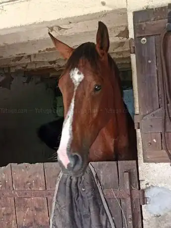Ferme Élevage Haumardiere