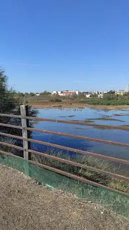 Photo de Observatorio de aves Laguna Grande