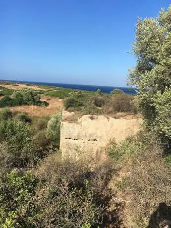 Photo de Latomia Vendicari
