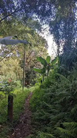 Chemin de Croix nÂ°1