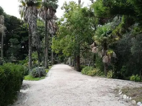 Photo de Jardin botanique de Lisbonne