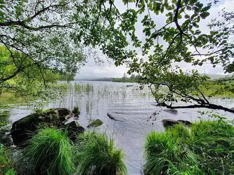 Photo de Ardnamona woods
