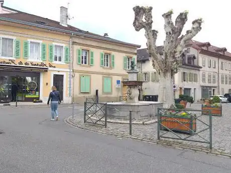 Photo de Fontaine de Ferney-Voltaire