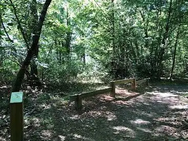 Parcours vita, Parcours sportif / santé