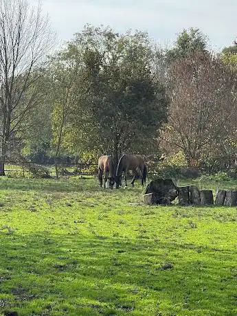 Equestrian Center of Poplars