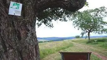 Aussichtspunkt Breckert