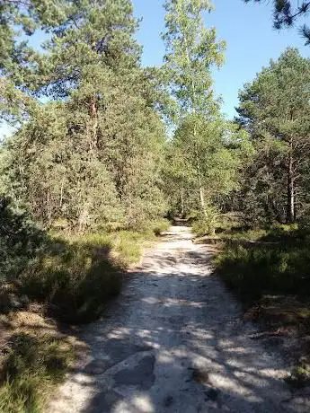 Mer de sable