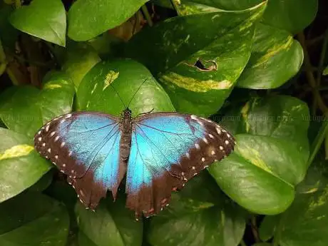 Photo de Mariposario