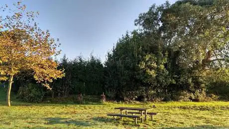 Photo de Ãrea Recreativa