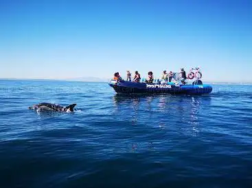 BlueFleet