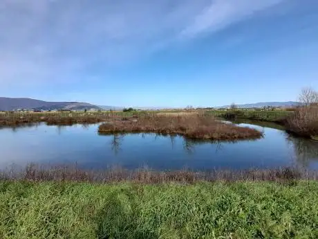 Photo de Parco della Piana - Area naturale La Querciola