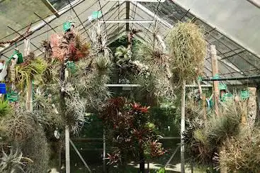 Botanical Garden of the University of Ferrara