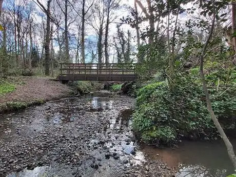 Carr Wood