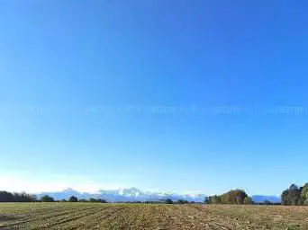 Photo de La Plantére (chênaie)