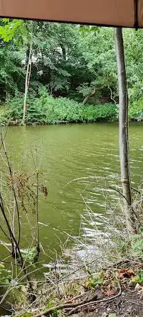 Local Fishing Grounds