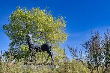 Beaufort Beeldenpark: Stief DeSmet - Monument for Cervus Vitalis #2 (Malus Sylvestris)