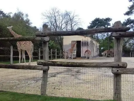 Zoo de La Flèche
