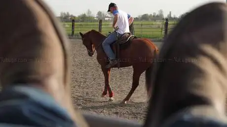 Associazione Sportiva Dilettantistica Ranch le 2z