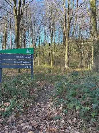 Photo de Dymock woods