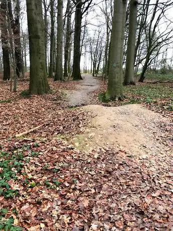 BMX/Dirtstrecke