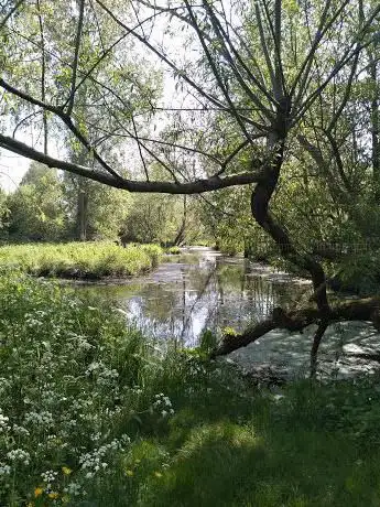 Photo de Cremer's Meadow
