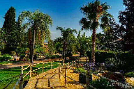 Photo de JardÃn Oriental Bienquerido
