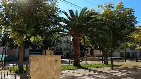 Photo de Coral Flor de Olivo Park