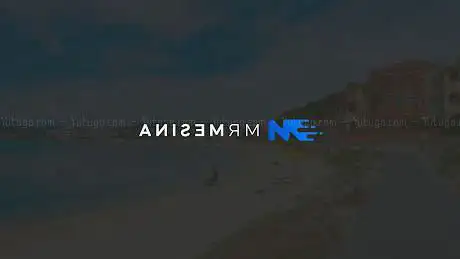 Mr Mesina | Transfer - Taxi - Escursioni - Noleggio auto - Bus