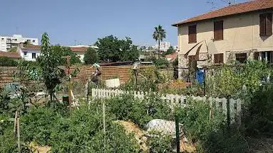 Jardins partagés courbe