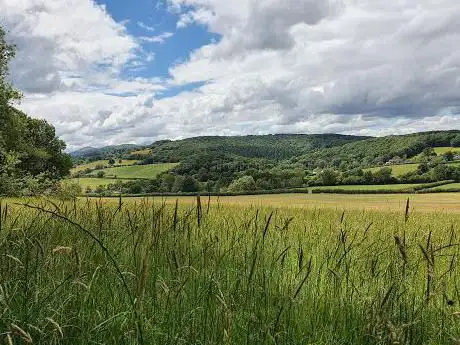 Photo de Crews Hill Wood Nature Reserve