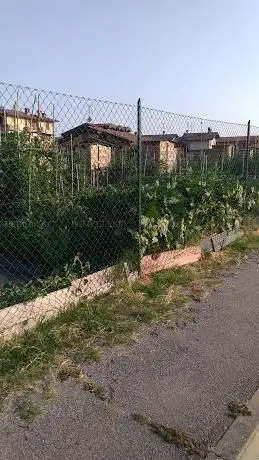 Photo de Orti Comunali