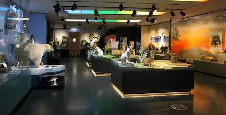 Photo de Musée national d'histoire naturelle Luxembourg - 'natur musée'