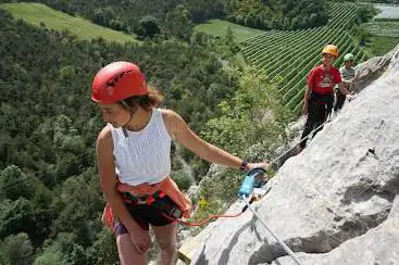 Ferrata Familia des Ammonites