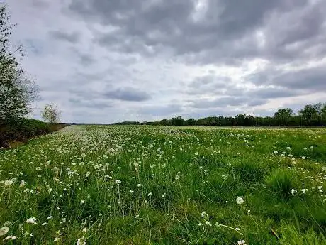 Photo de De Brakeleer