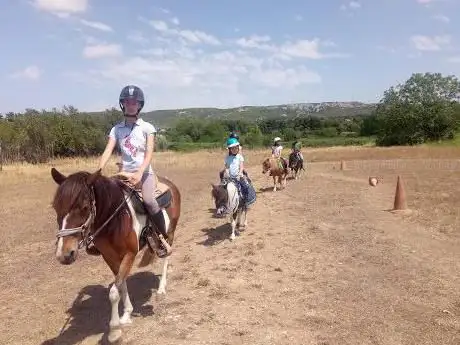 Photo de Ranch des Pitchounets De Touron