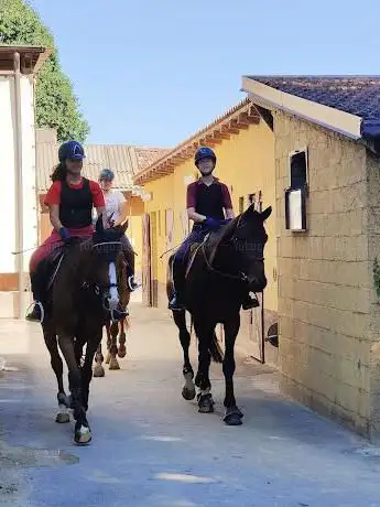 Photo de JUMPING VILLA SCHEIBLER ASD