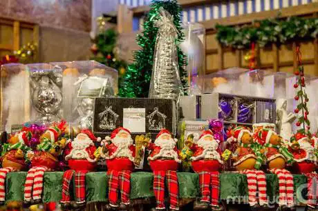 Photo de Digby Farm Christmas Trees