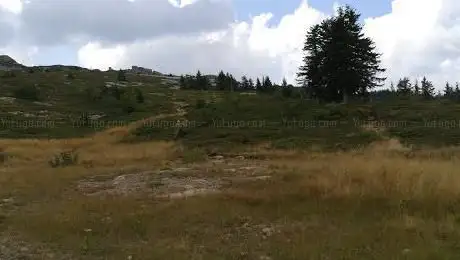 Sassi scritti di sestaione