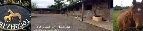 Photo de Loughview Stud Farm and Livery Yard