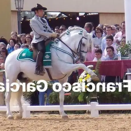 Francisco García Dressage