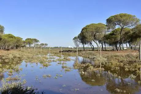 Sendero de la Ribera de Punta Umbría