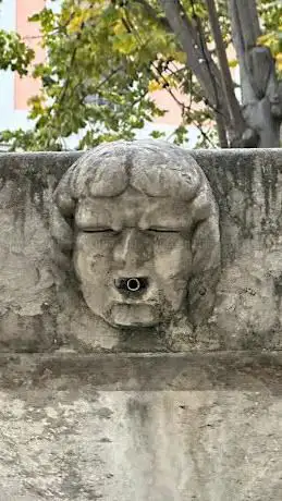 Photo de Brollador dels Vuit Caps