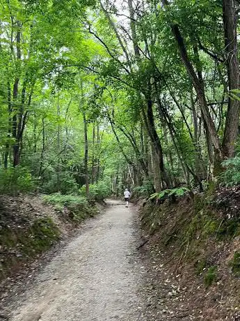Photo de Rio Vallone