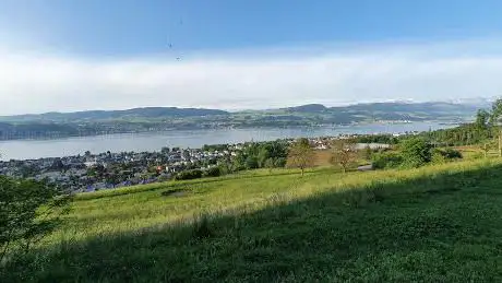 Panorama bbq