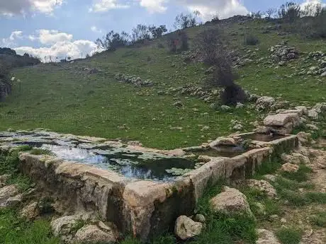 Photo de Fuente Del Espino